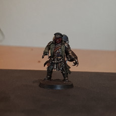Picture of print of Corrupted Guard Sergeant Painting Guide + Model