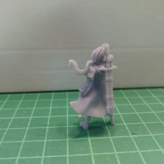 Picture of print of Ryu, Breath of Fire 3 miniature (1A), Pre-Supported