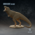 Nanuqsaurus hoglundi : The Icy Roar image