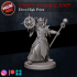Sun's Fury Camp - Elven High Priest image