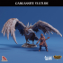 Carcassite Beast: Vulture image
