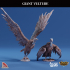 Giant Vulture image