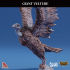 Giant Vulture image
