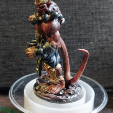 Picture of print of Infernal Monk-Male (Sample)