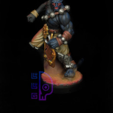 Picture of print of Infernal Monk-Male (Sample)