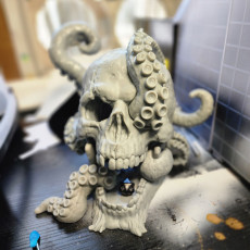 Picture of print of Dice Tower - Octo-Skull