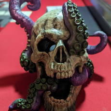 Picture of print of Dice Tower - Octo-Skull