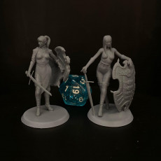 Picture of print of Paladin Female