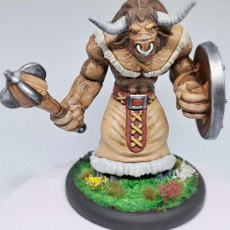 Picture of print of Tauren Shaman Attack