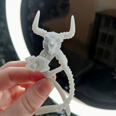 Picture of print of Skull Drones