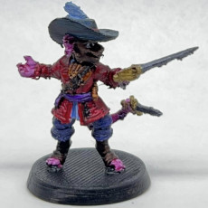 Picture of print of Ratman Pirate