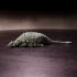 Ankylosaurus sleeping - pre-supported armored dinosaur image