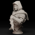 The Thief Bust image