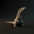 Carcharadontosaurus hatchling sitting - pre-supported dinosaur baby image