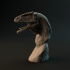 Carcharadontosaurus bust - pre-supported dinosaur head image