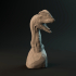 Dilophosaurus bust - pre-supported dinosaur head image