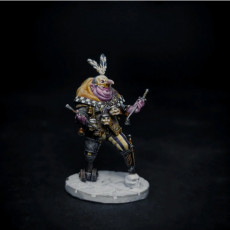 Picture of print of Plague Mercenary