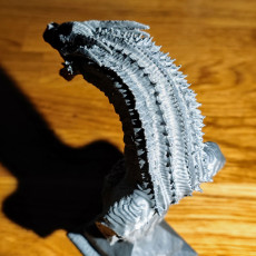 Picture of print of Syrax dragon bust fan art - pre supported - FREE model