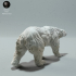 Polar Bear Walking image