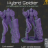 AELAIR12 - Hybrid Soldier image