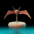 Bats - Final Fantasy XI Online image
