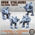 Iron Stalker Mechs - Kaledon Fortis image