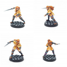 Picture of print of Elf fighter [PRE-SUPPORTED]