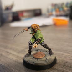 Picture of print of Elf fighter [PRE-SUPPORTED]