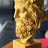 Head of Dionysus print image
