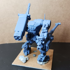 Picture of print of Modular Mechs Builder Vol.1