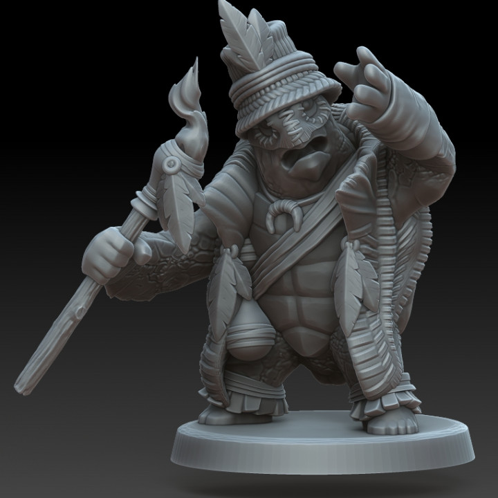 3D Printable Sea Tortle Witch Doctor by Wundervale Games