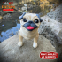 FLEXY PRINT-IN-PLACE PUG ARTICULATED image