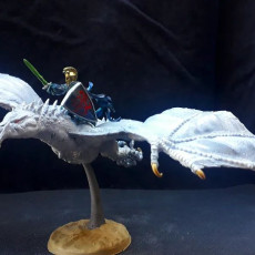 Picture of print of Wraithbeast - Version D - Presupported