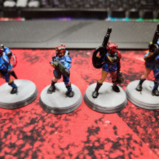 Picture of print of Nyokan Winterguard Blizzard Corps