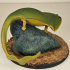 Diplocaulus magnicornis: The Boomerang-headed Amphibian print image