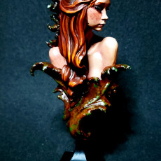 Picture of print of Fae in Prickly Leaves Bust STL