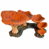 Big Mushrooms image