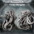 Proto-Shoggoth - At the Mountains of Madness Campain image
