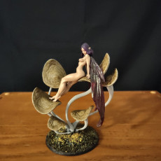Picture of print of Oona the Moon Fae STL