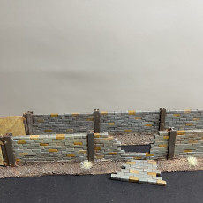 Picture of print of Modular Brickwall with functional Gate and Breachable Wall