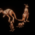 Australian Animals plus bases image
