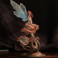 Picture of print of Aine the Noon Fae STL
