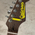 Cateran 3D Printed Electric Guitar Kit print image