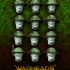 British Helmets Heads! Blast from the past! 28mm (12 heads) image