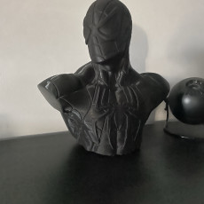 Picture of print of SpiderMan Bust