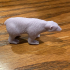 Polar Bear print image