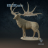 Megaloceros giganteus : The Irish Elk image
