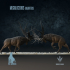 Megaloceros giganteus : Display Fight image