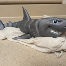 Picture of print of Great White Shark, Print-In-Place Body, Snap-Fit Head, Cute Flexi