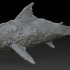 Shark - Great Wight (zombie) 1 image